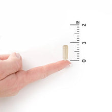 Load image into Gallery viewer, Garden of Life - Dr. Formulated Probiotics Once Daily Prenatal - Acidophilus and Bifidobacteria Probiotic Support for Mom and Baby - Gluten, Dairy, and Soy-Free - 30 Vegetarian Capsules