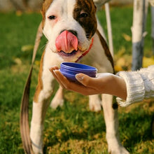 Load image into Gallery viewer, BOTTLE BOTTLE 32oz Insulated Water Bottle Stainless Steel Sport Water Bottle with Straw Dual-use Lid Design for Gym with Pill Box (dark purple)