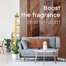 Load image into Gallery viewer, Glade Automatic Spray Refill, Air Freshener for Home and Bathroom, Cashmere Woods, 6.2 Oz, 2 Count