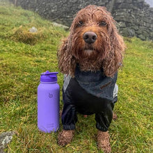 Load image into Gallery viewer, BOTTLE BOTTLE 32oz Insulated Water Bottle Stainless Steel Sport Water Bottle with Straw Dual-use Lid Design for Gym with Pill Box (dark purple)