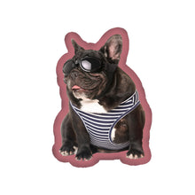 Load image into Gallery viewer, Unite Stone Custom Dog Pillow, Custom Cat Pillow Pet Pillows Personalized Photo Picturev Customized Pillows with Photos Mother's Day/Graduation/Father's Day (18inch)