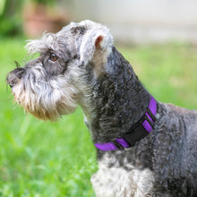Load image into Gallery viewer, Joytale Reflective Dog Collar,Soft Neoprene Padded Breathable Nylon Pet Collar Adjustable for Medium Dogs,Purple,M