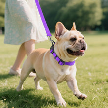 Load image into Gallery viewer, Joytale Reflective Dog Collar,Soft Neoprene Padded Breathable Nylon Pet Collar Adjustable for Medium Dogs,Purple,M