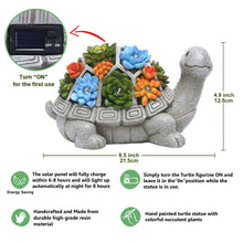 Load image into Gallery viewer, Nacome Solar Garden Outdoor Statues Turtle with Succulent and 7 LED Lights - Lawn Decor Tortoise Statue for Patio, Balcony, Yard Ornament - Unique Housewarming Gifts