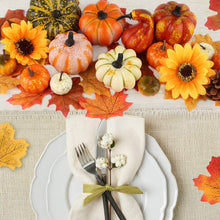 Load image into Gallery viewer, HAKACC 14 PCS Artificial Lifelike Simulation Mixed Pumpkins for Decorating, Fake Pumpkins with 30PCS Fake Maple Leaves Festival Thanksgiving Fall Harvest Home Decoration