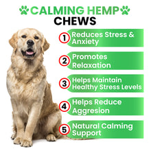 Load image into Gallery viewer, Grateful Pawz Hemp Calming Chews for Dogs - Dog Calming Chews - 170 Anxiety Relief Treats with Hemp Oil - Sleep Aid - Advanced Health Joint Support Supplement - Health & Wellness
