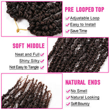 Load image into Gallery viewer, 8 Packs Passion Twist Crochet Hair 20 Inch Prelooped Crochet Braids Pretwisted Spring Twist Crochet Hair for Black Women (20 Inch (Pack of 8), T30#)