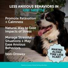 Load image into Gallery viewer, Pet Honesty Natural Hemp Calming Chews for Dogs - Dog Anxiety Relief - Calming Aid Supplement with Valerian Root, Chamomile, + Magnesium - Stress, Separation & Thunder Support - (Chicken, 90 Count)