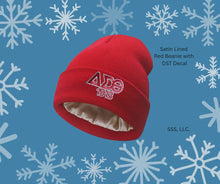 Load image into Gallery viewer, Satin Lined Beanie with DST Decal
