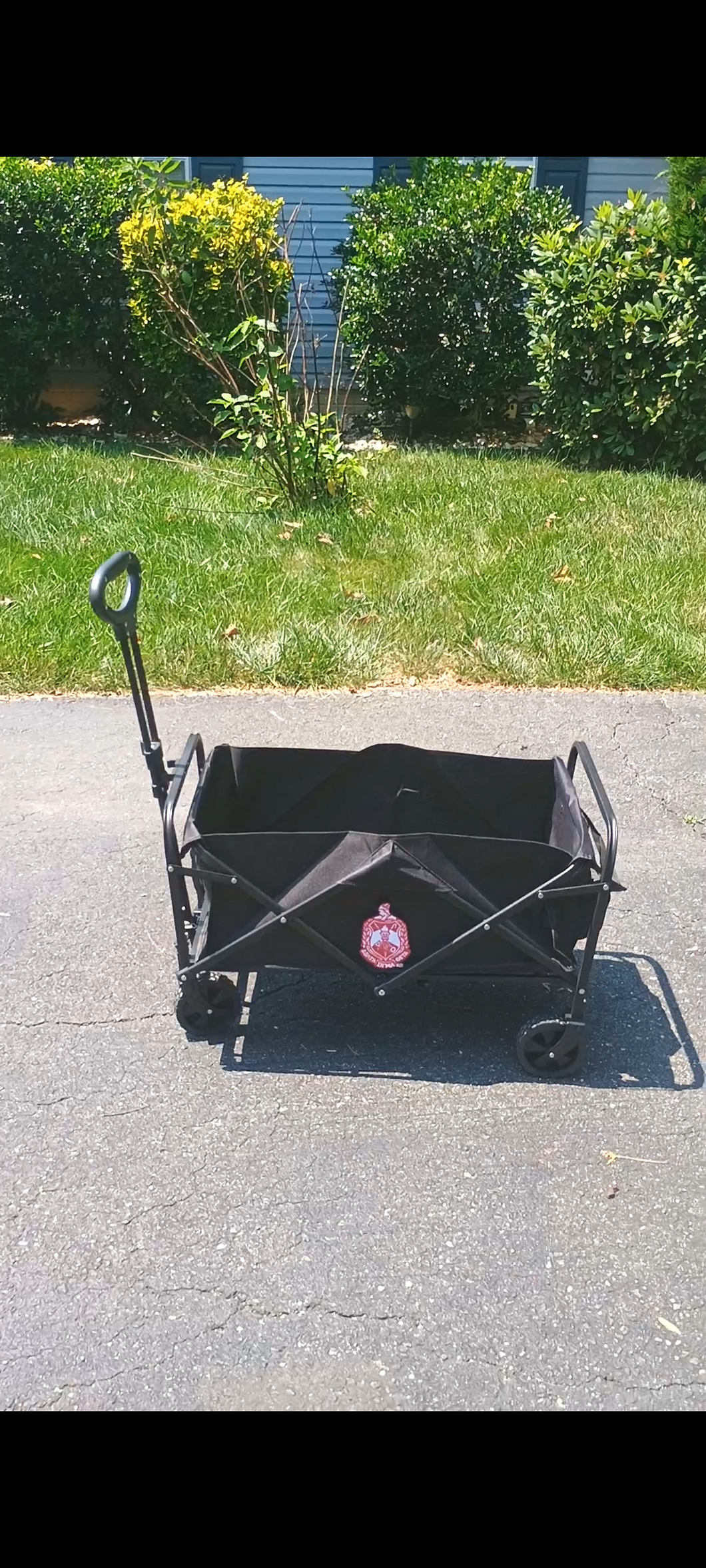 Collapsible Wagon with 2 Count 5